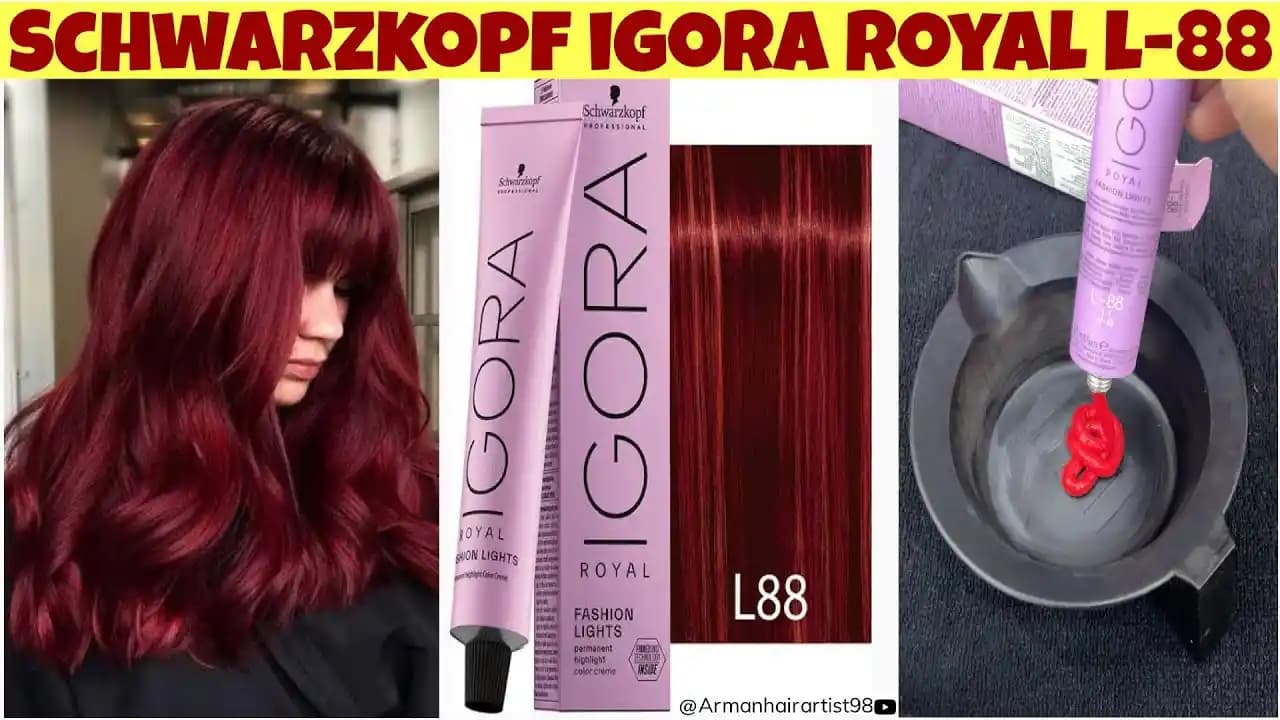 Igora L 88 Rengi: Yoğun Küllü Kahve Tonunun Detaylı İncelenmesi ve Uygulama Rehberi