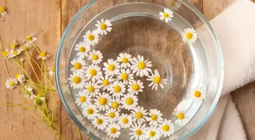 Kışın Papatya Suyu ile Doğal ve Etkili Saç Açma Yöntemleri ve Faydaları