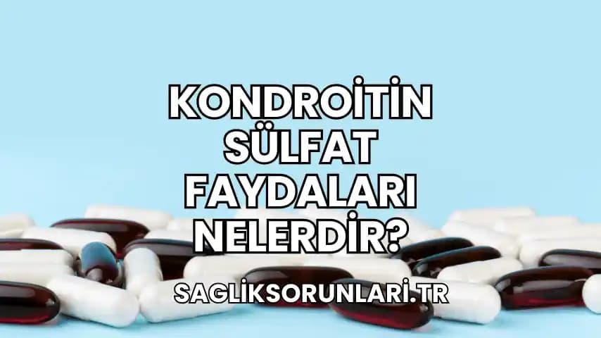 Kondroitin Sülfat: Cilt Bakımı ve Eklem Sağlığında Çok Yönlü Faydaları