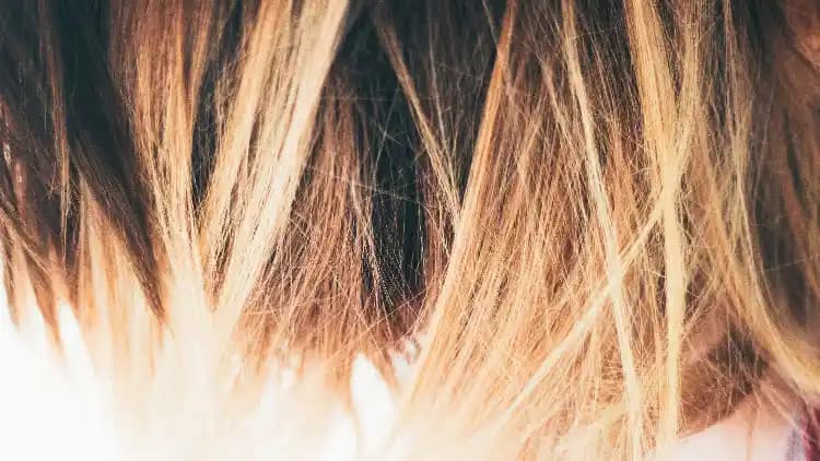 Koparak Dökülen Saçlara Ne İyi Gelir? Etkili Bakım ve Tedavi Yöntemleri
