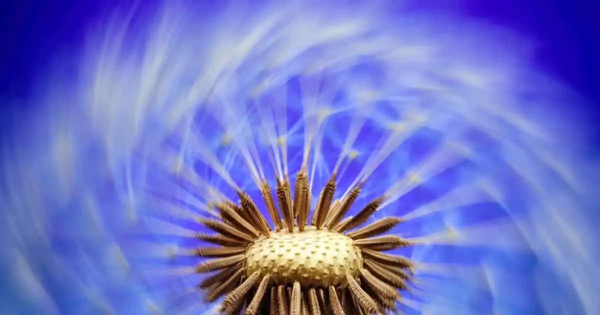 Koyu Sarı Saç Boyası: Doğal Görünüm ve Cilt Tonuna Uyum Sağlayan Renk Seçeneği