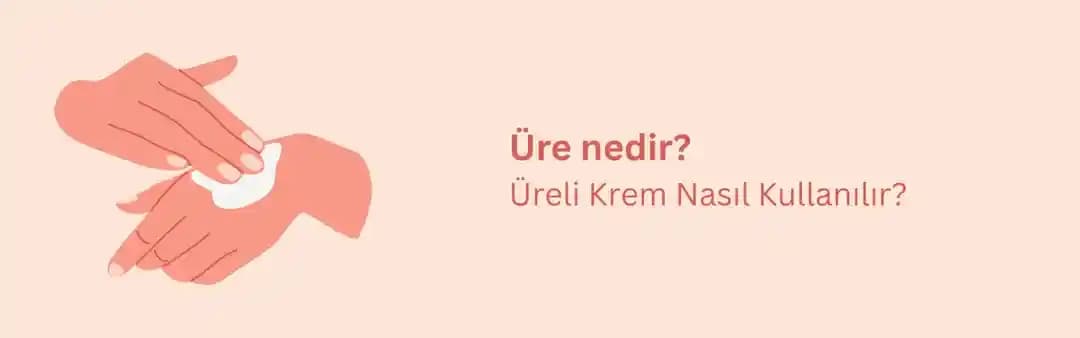 Kremlerdeki Ürenin Cilt Bakımındaki Rolü ve Faydaları Hakkında Detaylı Bilgi
