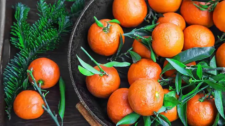 Mandalina Macunu Faydaları: Sağlık ve Güzellik İçin Doğal Bir Kaynak