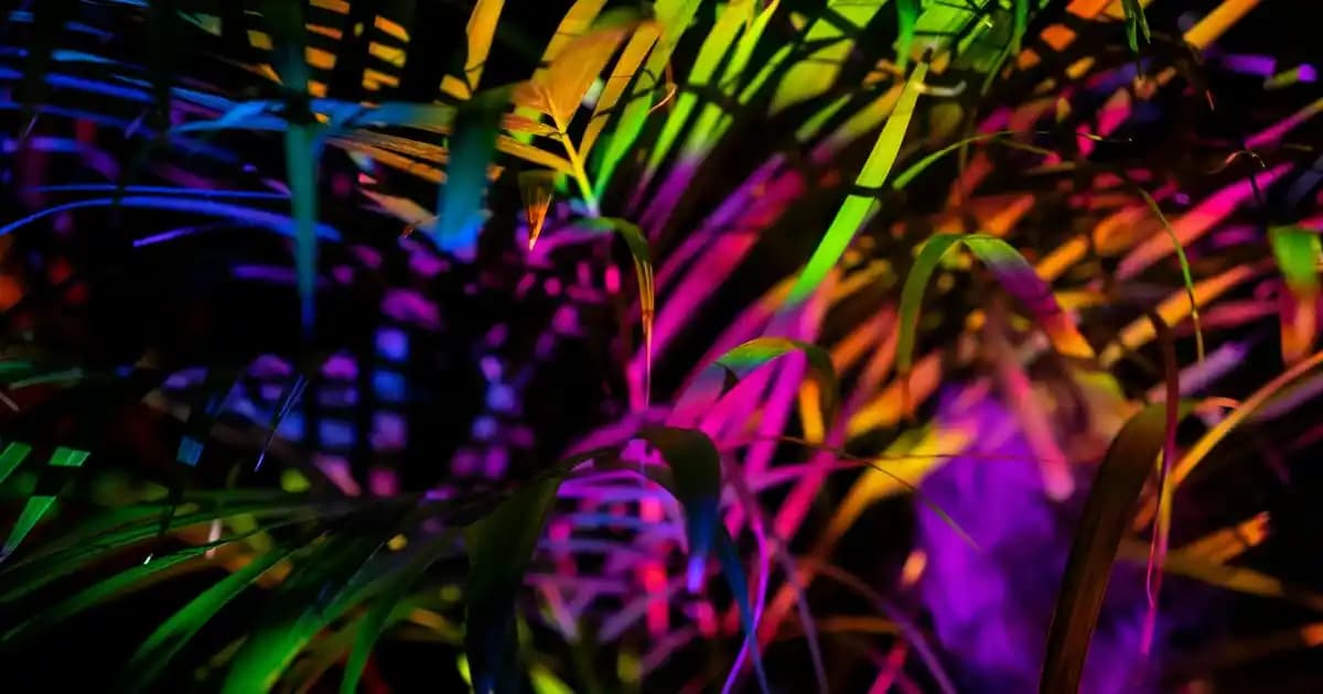 Mayonez Maskesi ile Doğal Saç Bakımı: Nemlendirme ve Güçlendirme Yöntemi