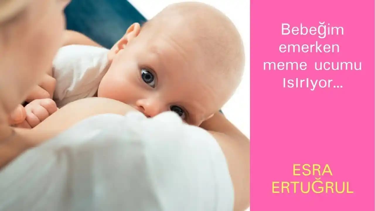 Meme Isırma Nedenleri, Etkileri ve Etkili Bakım Yöntemleri Hakkında Bilgi