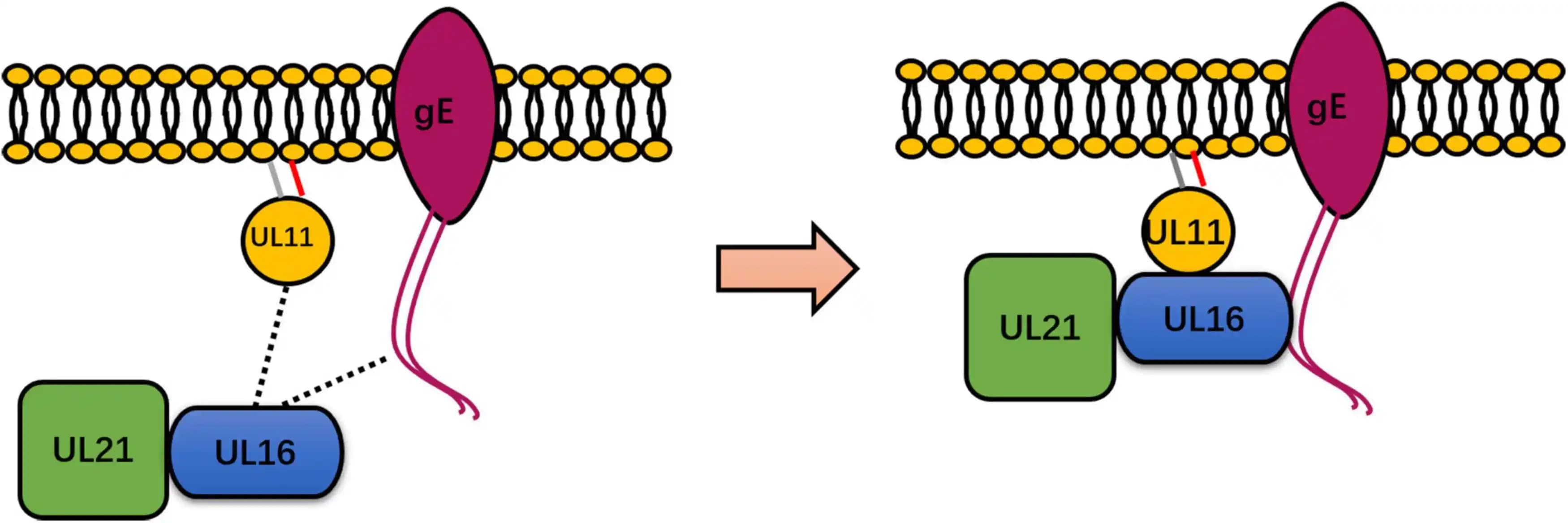 Modern Kozmetik ve Kişisel Bakım Ürünleriyle Etkili ve Güncel Güzellik Rutinleri