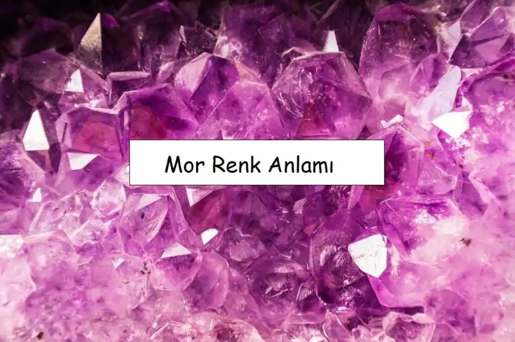 Mor Tokanın Anlamı ve Sembolizmi: Güzellik, Stil ve Kültürel Değerler