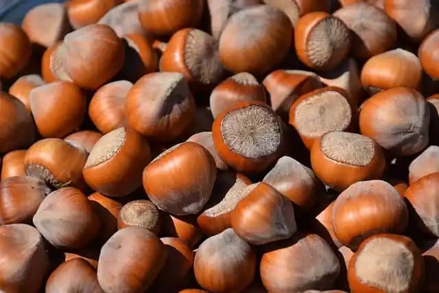 Nut Rengi Nedir? Kozmetikte Nut Rengi Tonları ve Güzellikte Kullanımı Rehberi