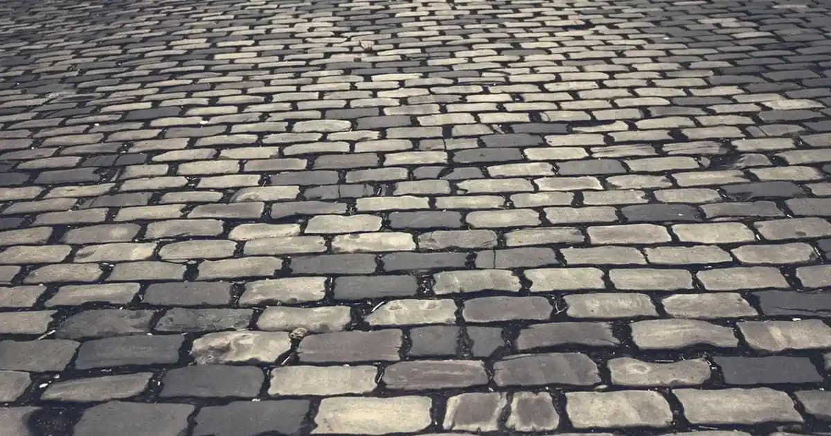 Papatya Suyu Saç Bakımında Islak Saça Uygulama ve Faydaları Hakkında Bilgi