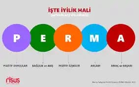 Perma Nedir? Saç ve Kirpiklerde Kalıcı Dalga ve Kıvrım Yöntemleri Hakkında Bilgi