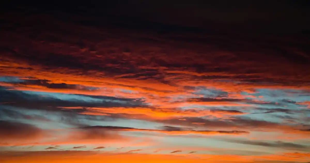 Quechua 20 Lt Çanta: Kozmetik ve Kişisel Bakım Ürünleri İçin Dayanıklı ve Fonksiyonel Çözüm