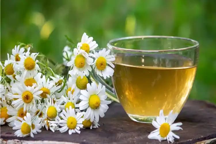 Regl Ağrısına İyi Gelen Bitki Çayları ve Doğal Yöntemlerle Etkili Rahatlama