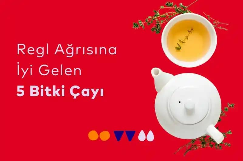 Regl Döneminde Rahatlama Sağlayan En Etkili Bitki Çayları ve Kullanım Önerileri