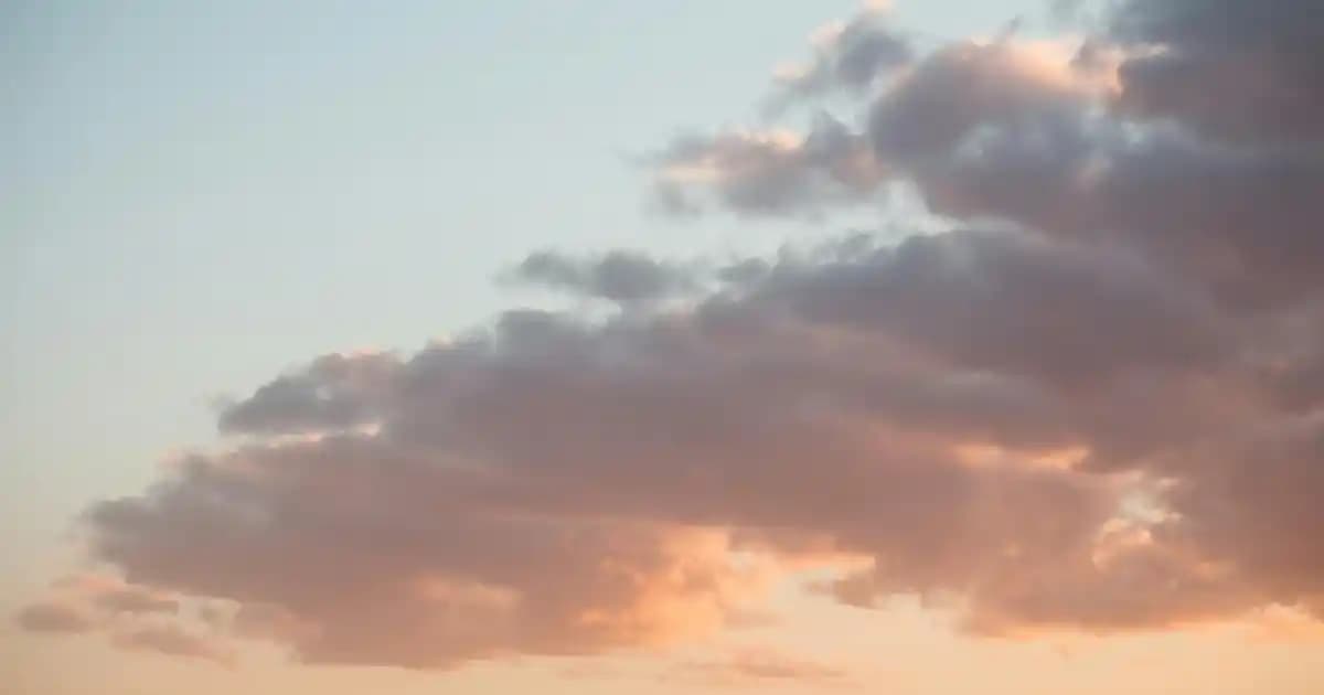 Saç Egzaması Belirtileri ve Tedavi Yöntemleri: Saç Sağlığınızı Korumak İçin Bilmeniz Gerekenler