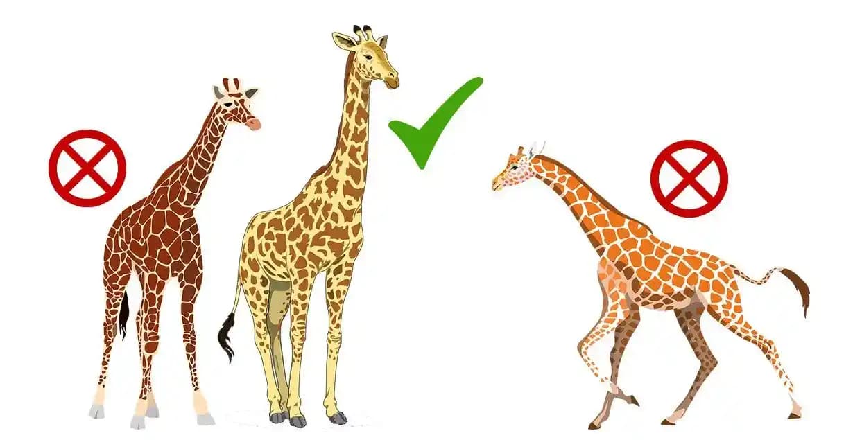 Saf Seçim: Doğal ve Etik Kozmetik Ürünlerinde Sağlıklı ve Sürdürülebilir Tercihler