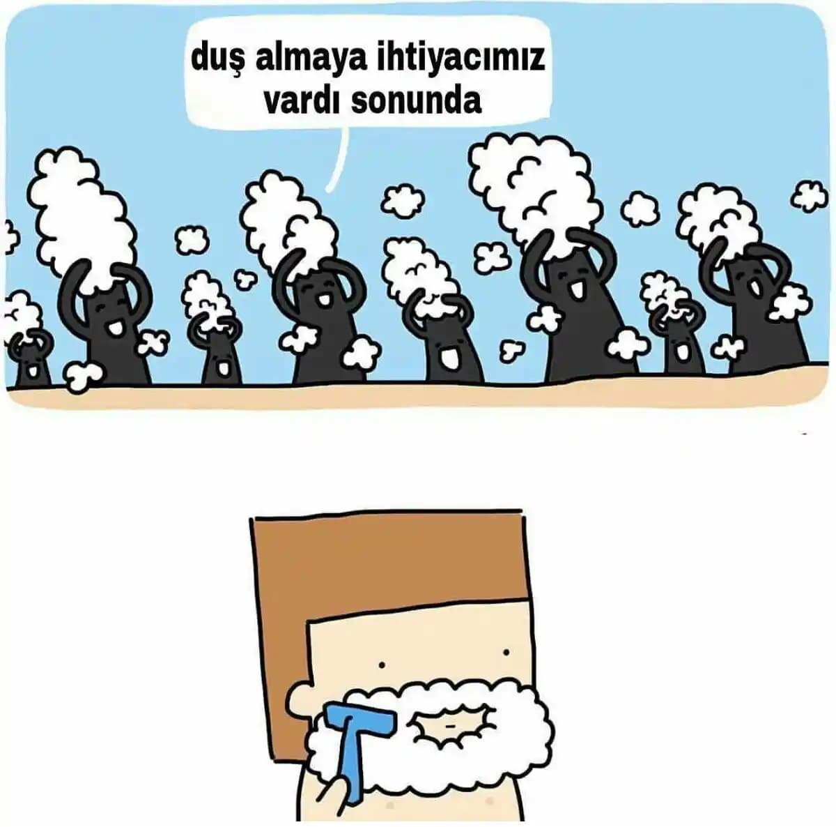 Sakal Bakımında Sert Tüylerle Mücadele: Doğru Yöntemler ve Ürünler Rehberi