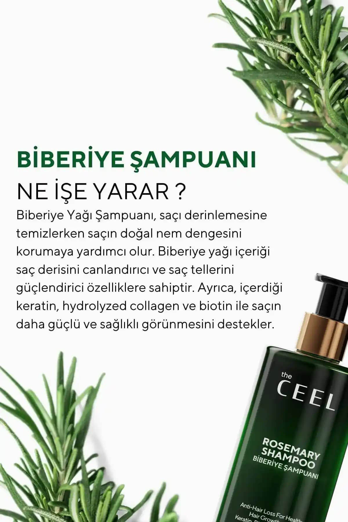 Şampuana Biberiye Yağı Eklemenin Saç Sağlığına Faydaları ve Doğru Kullanımı