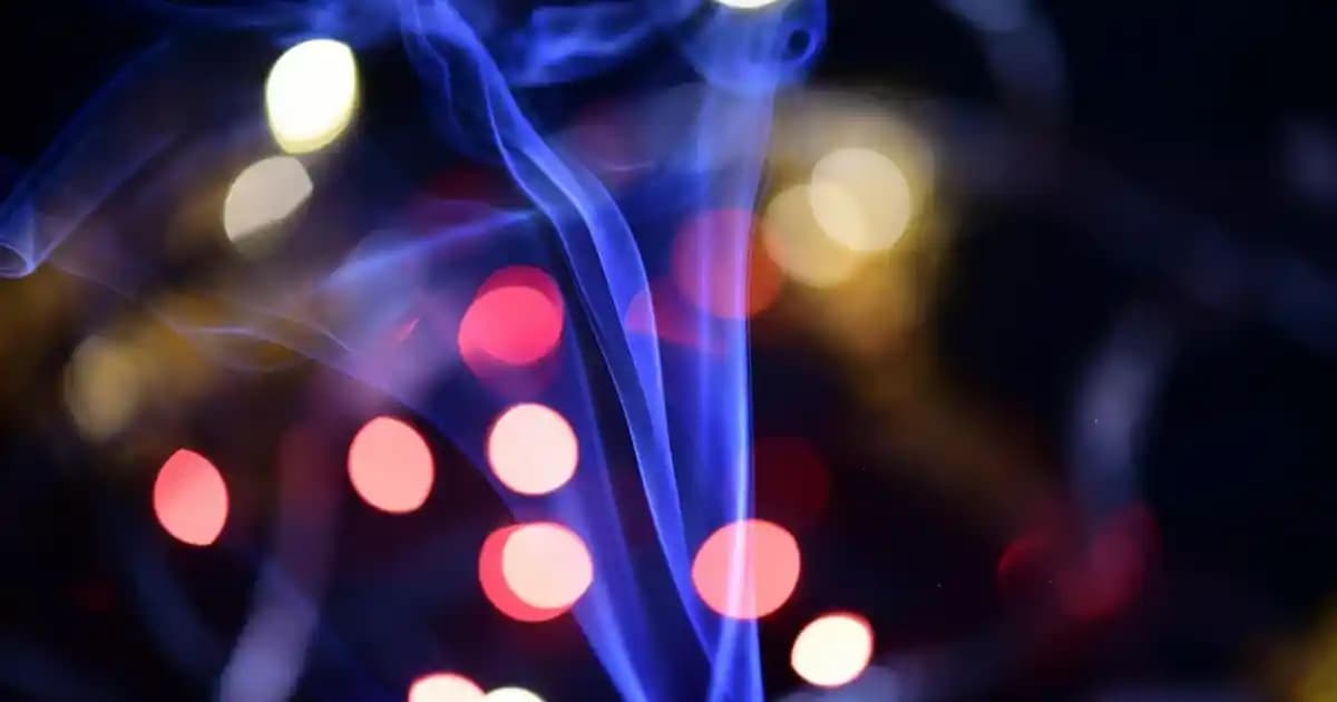 Sea Color 8.0: Doğal Açık Kumral ve Küllü Tonlarda Saç Rengi Seçenekleri