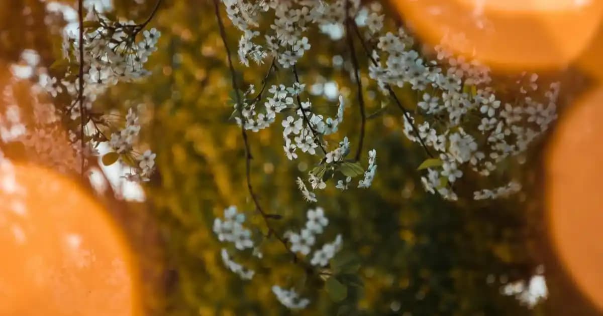 Serum Fizyolojik Yüze Sürülür mü? Cilt Bakımında Doğru Kullanım Rehberi