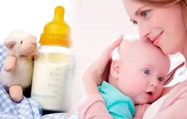 SMA Mama Biberonda Ne Kadar Bekler? Doğru Saklama ve Güvenlik Rehberi