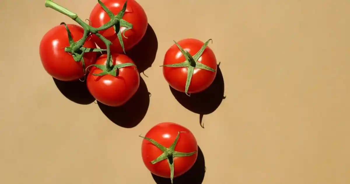 Soğuk Platin Saç Rengi Numarası ve Bakımı: Kusursuz Işıltının Anahtarı