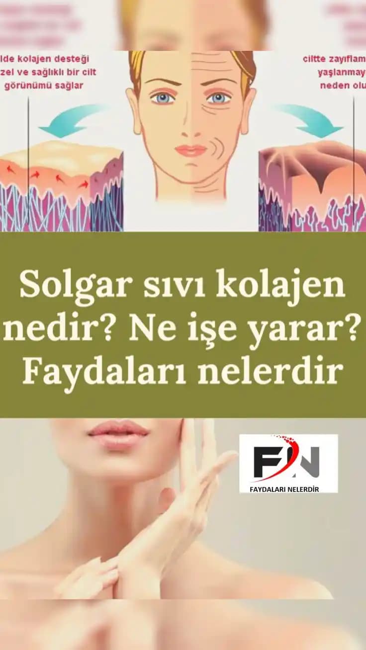 Solgar Kolajen Tip 1 ve 3: Cilt, Kemik ve Eklem Sağlığı İçin Etkili Takviye