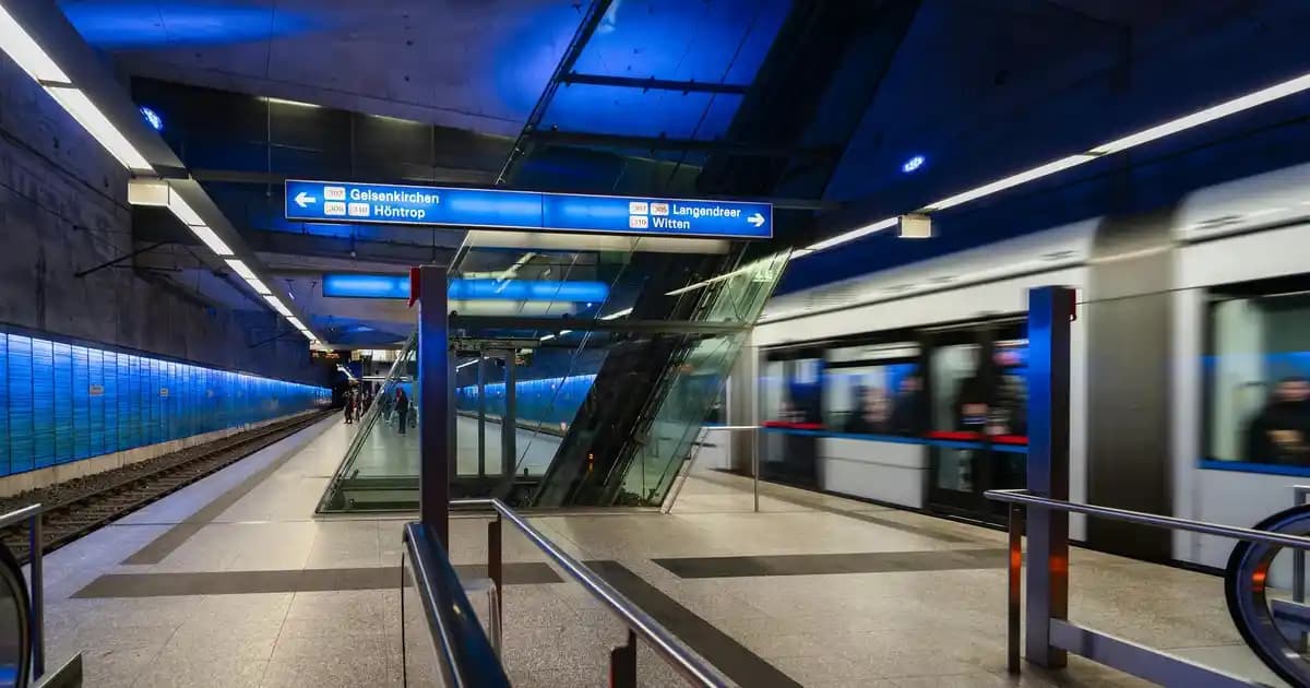 TDRS Narcotic 100 ml Bergamot Özel Seri Uzun Süre Kalıcı Erkek Parfüm İncelemesi