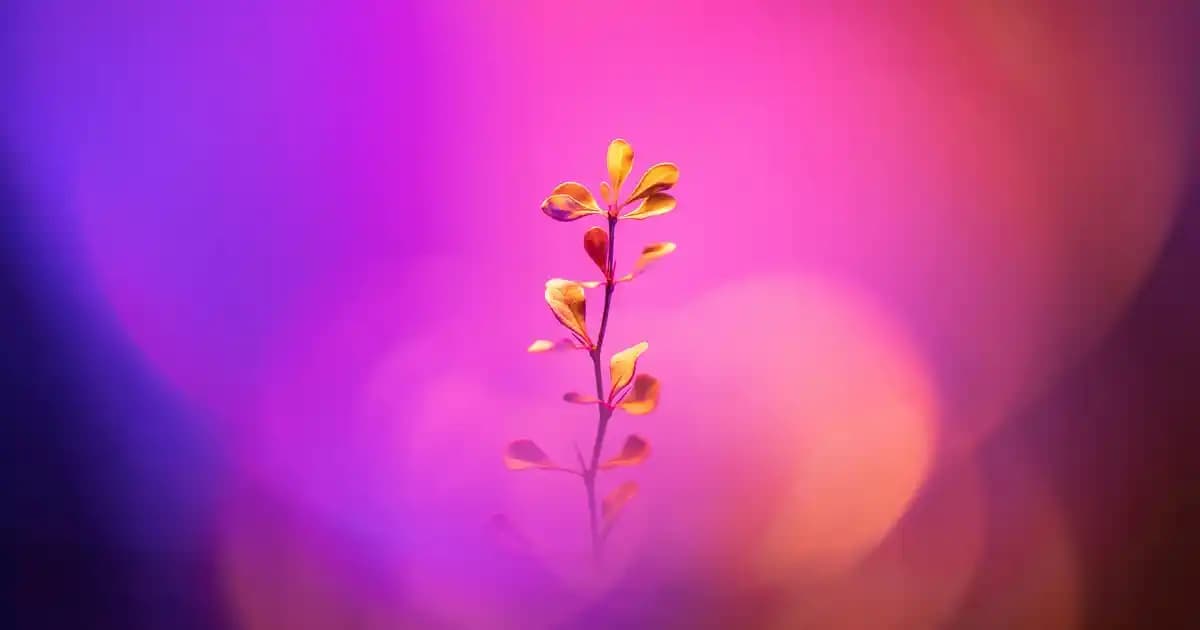 Tırnak Cilası Nasıl Kullanılır? Kalıcı ve Kusursuz Oje Uygulama Rehberi