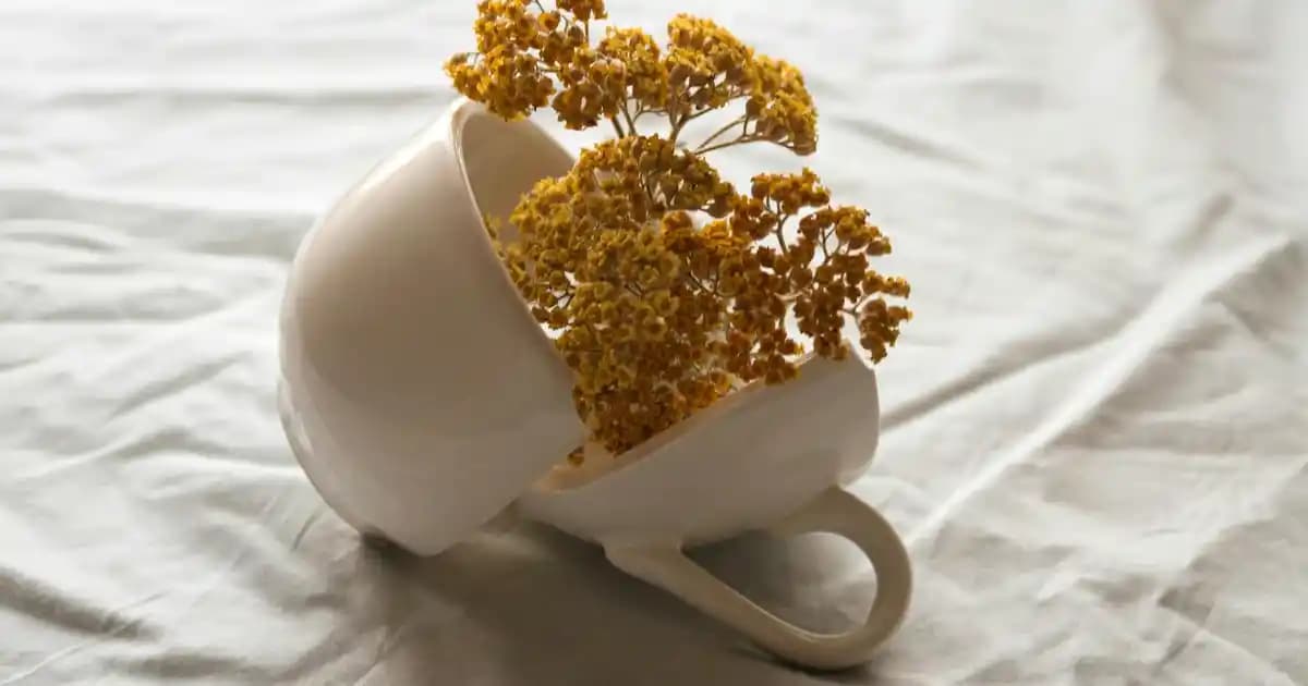 Topuk Çatlağına İyi Gelen Krem Seçimi ve Etkili Ayak Bakımı Rehberi