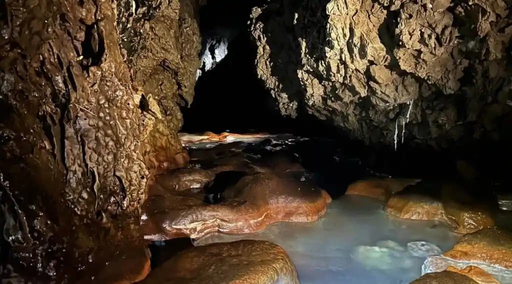 Troist Krem: Doğal İçeriklerle Cilt Nemlendirme ve Yaşlanma Karşıtı Bakım