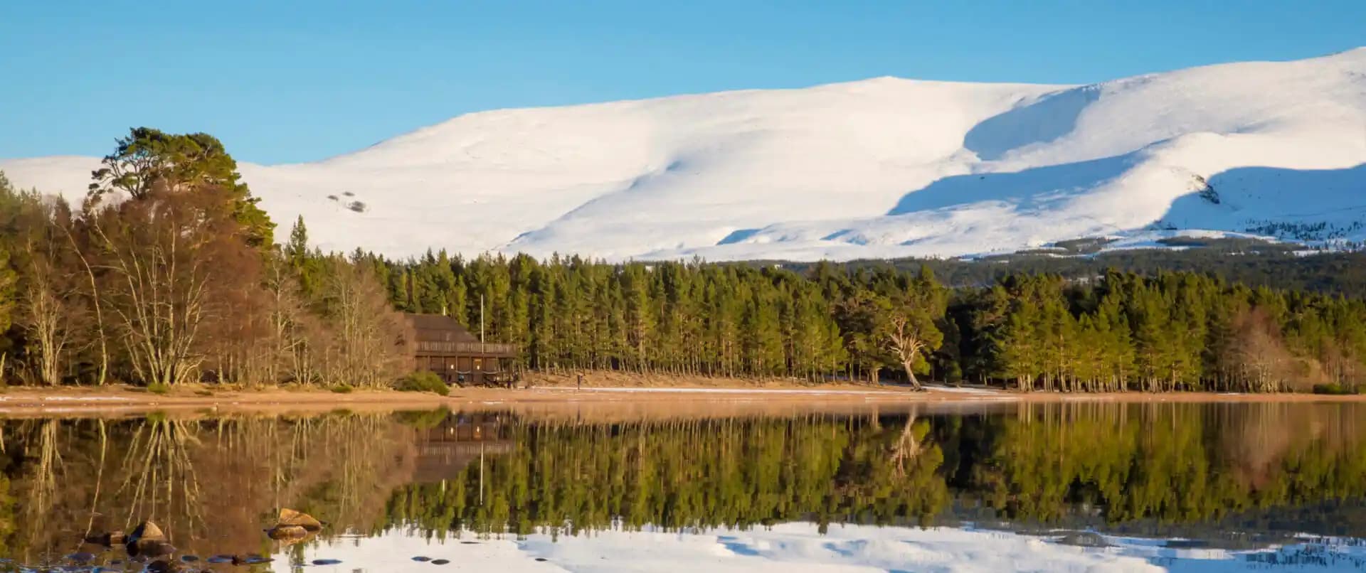 Viemore: Doğal İçeriklerle Yenilikçi Güzellik ve Kişisel Bakım Ürünleri