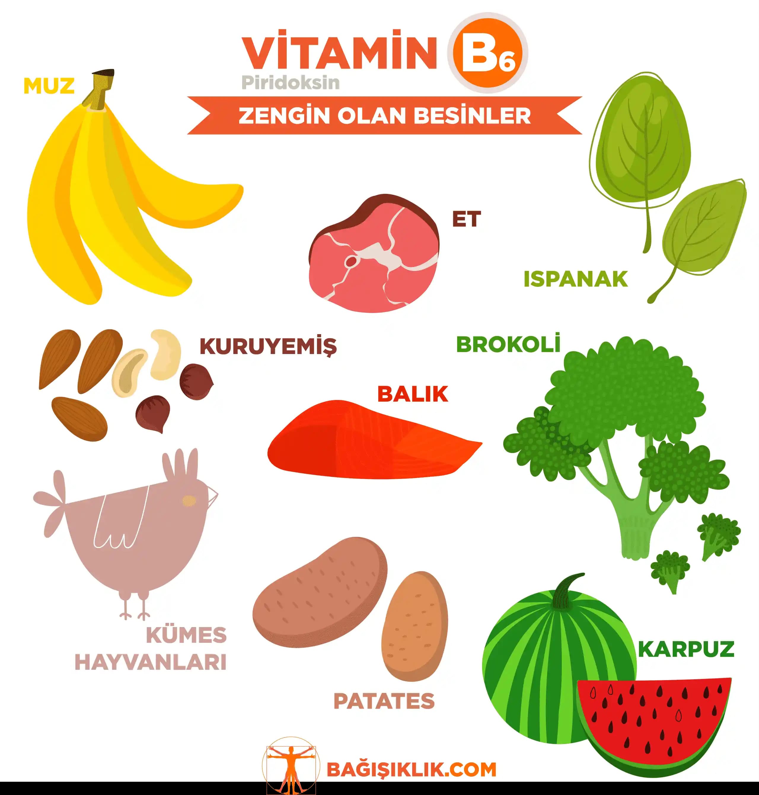 Vitamin B6 Ne Zaman Alınmalı? Sağlık ve Güzellik İçin Doğru Zamanlama Rehberi