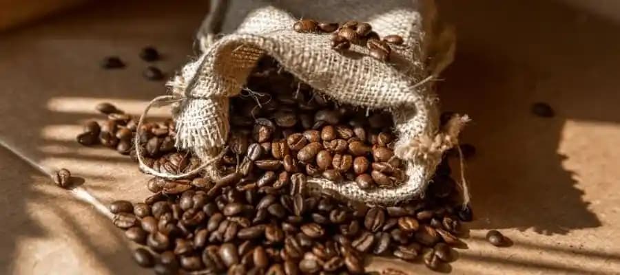 Wax Ürünlerinin Dayanıklılığı ve Son Kullanma Tarihleri Hakkında Bilmeniz Gerekenler