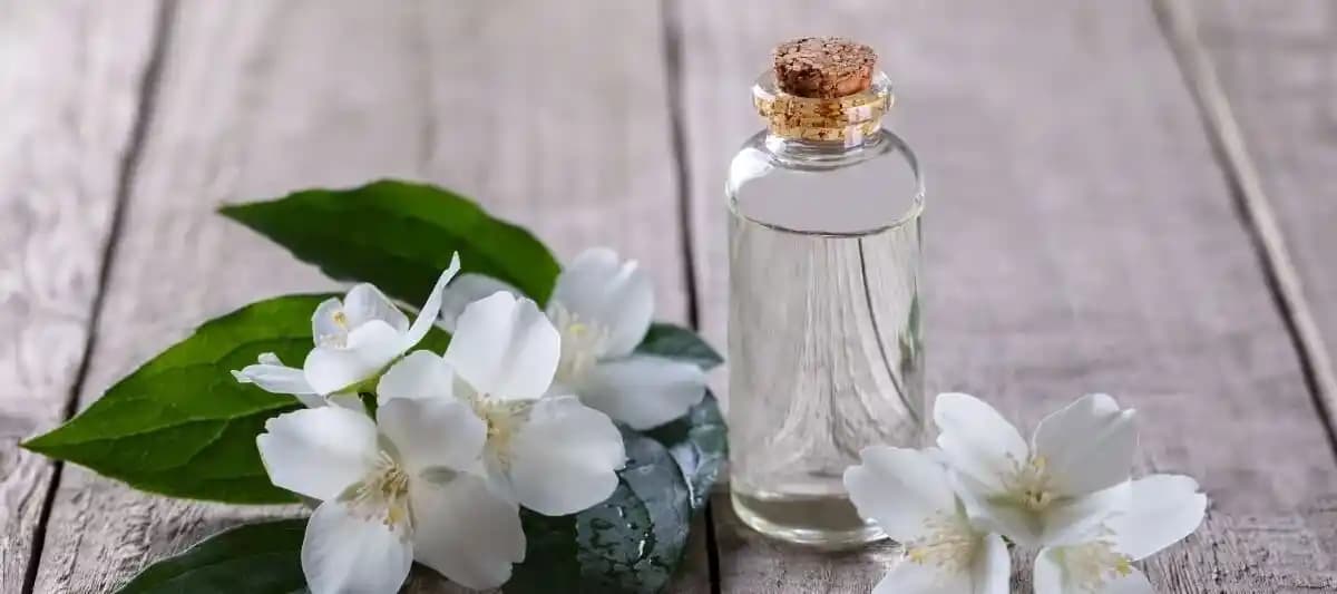 Yaseminli Parfümler: Zarafet ve Doğallığın Büyüleyici Kokusu ve Kullanım Rehberi