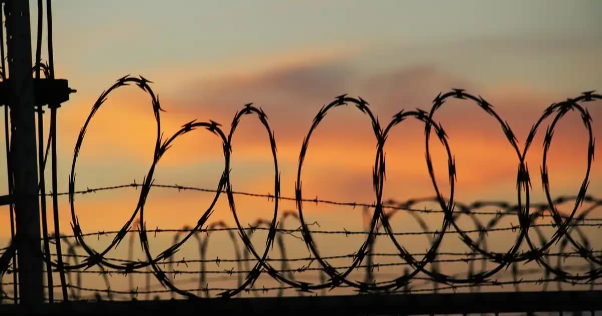 Yenidoğan Emzik Seçimi: Bebeğiniz İçin Doğru Emziği Seçme Kriterleri ve Öneriler