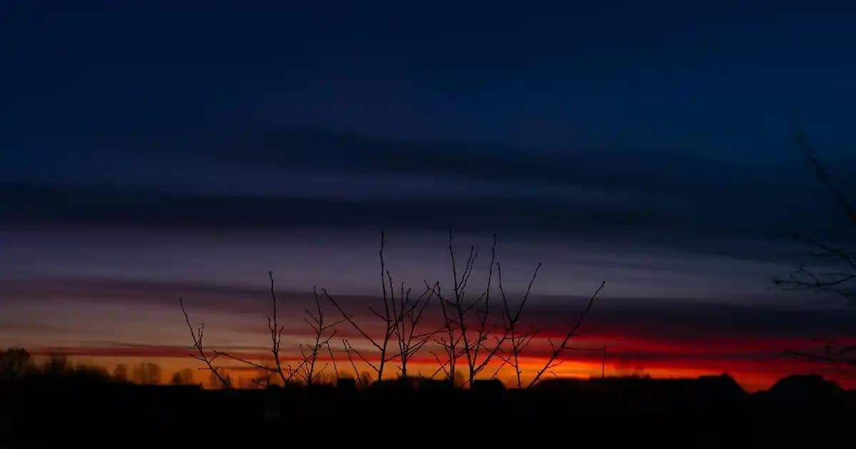 Yenidoğanlarda D Vitamini Dozu ve Önemi: Sağlıklı Gelişim İçin Rehber