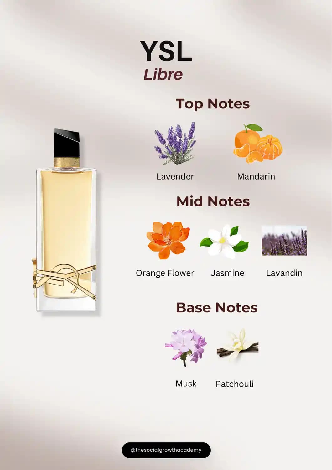 YSL Libre Parfümün Notaları ve Kokusal Kompozisyonu: Feminenlik ve Özgürlük
