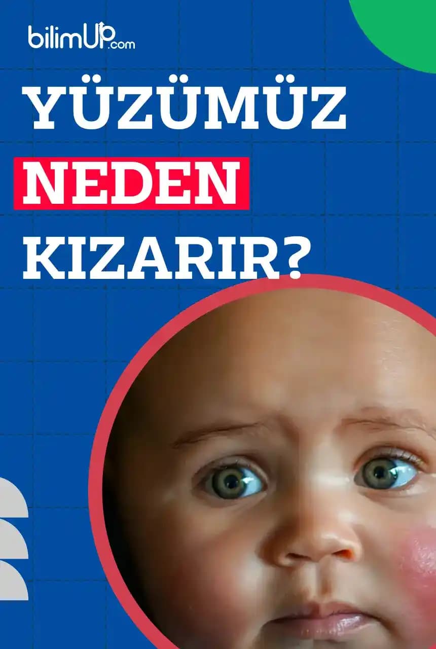 Yüz Kızarıklığının Nedenleri, Cilt Bakımı ve Etkili Çözümler Hakkında Rehber