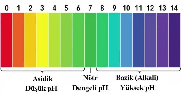 Yüz pH Değeri ve Cilt Sağlığı: Doğru pH Dengesi İçin Bilmeniz Gerekenler