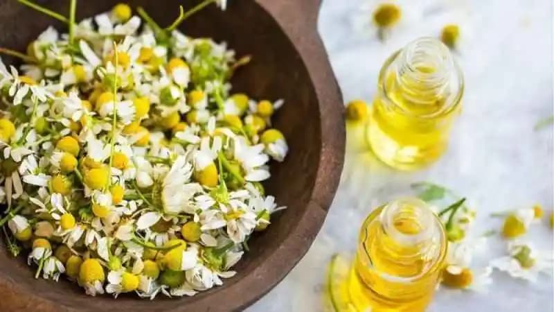 Yüzdeki Alerjiye Ne İyi Gelir? Doğal ve Etkili Tedavi Yöntemleri