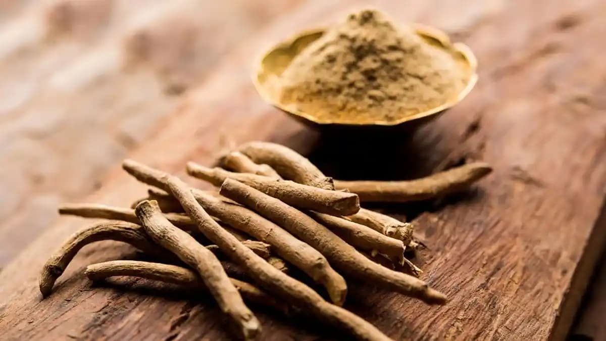 Ashwagandha ve Saç Sağlığı: Bilimsel Çalışmalar, Uygulama Yöntemleri ve Kanıtların Değerlendirilmesi