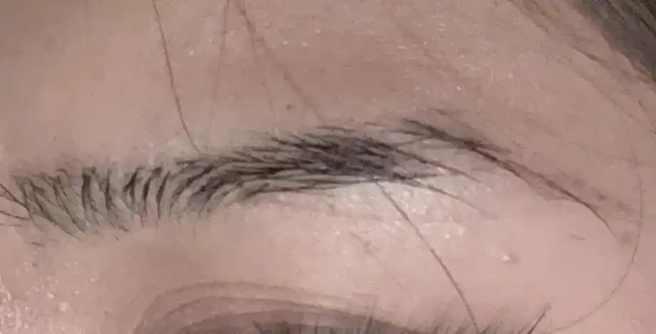 Kalıcı Kaş Jeli Seçimi: Etkili Ürünler, Uygulama Teknikleri ve Kaş Tiplerine Göre Öneriler