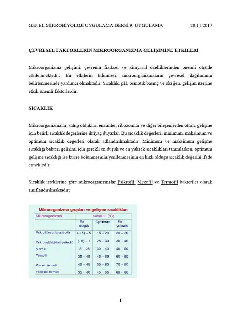 Saç Dokusu Değişikliklerinin Nedenleri ve Etkili Bakım Yöntemleri