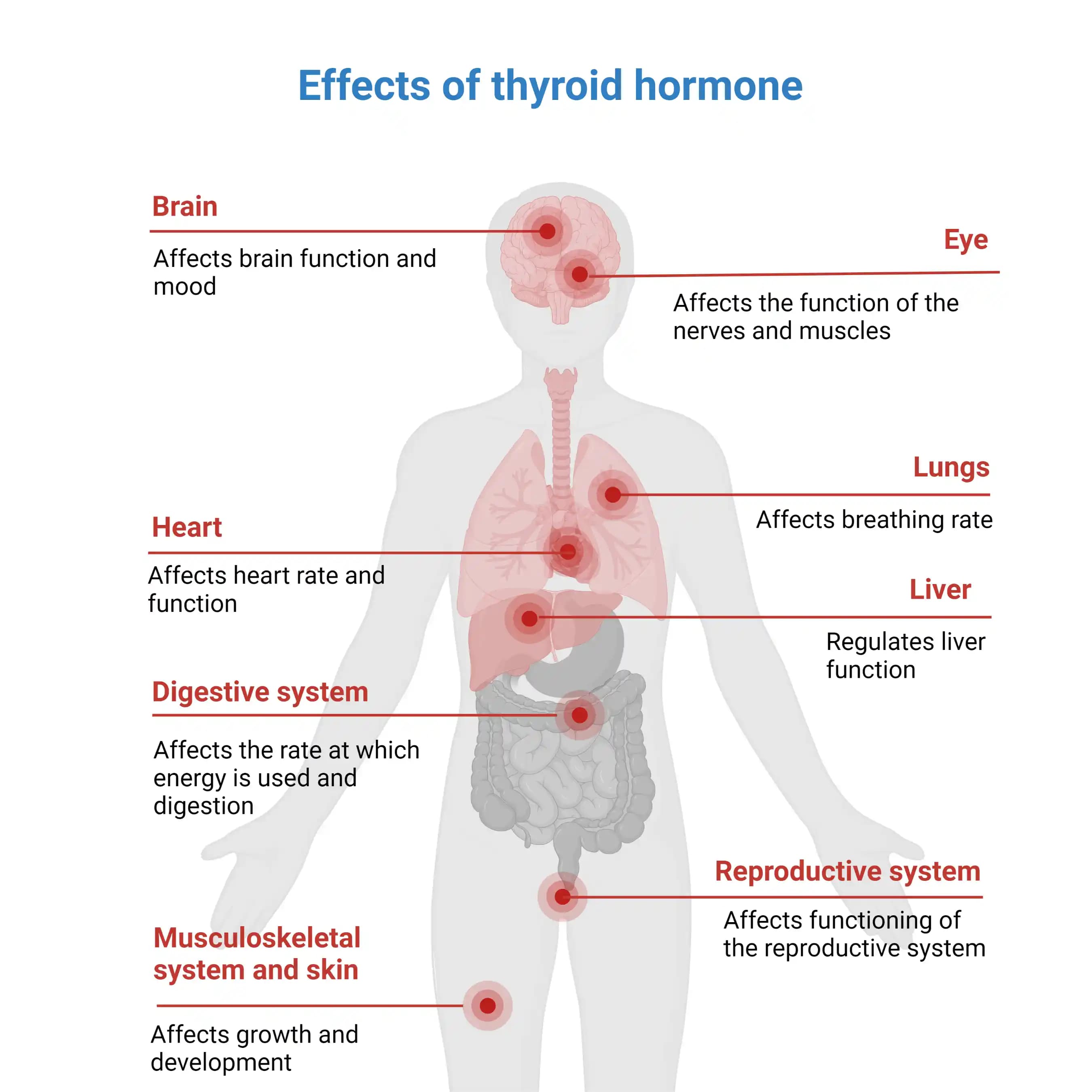 Saçta Anormal Kıllanma Nedenleri ve Çözümleri: Hormonal, Tiroid ve Yaşlanma Etkileri