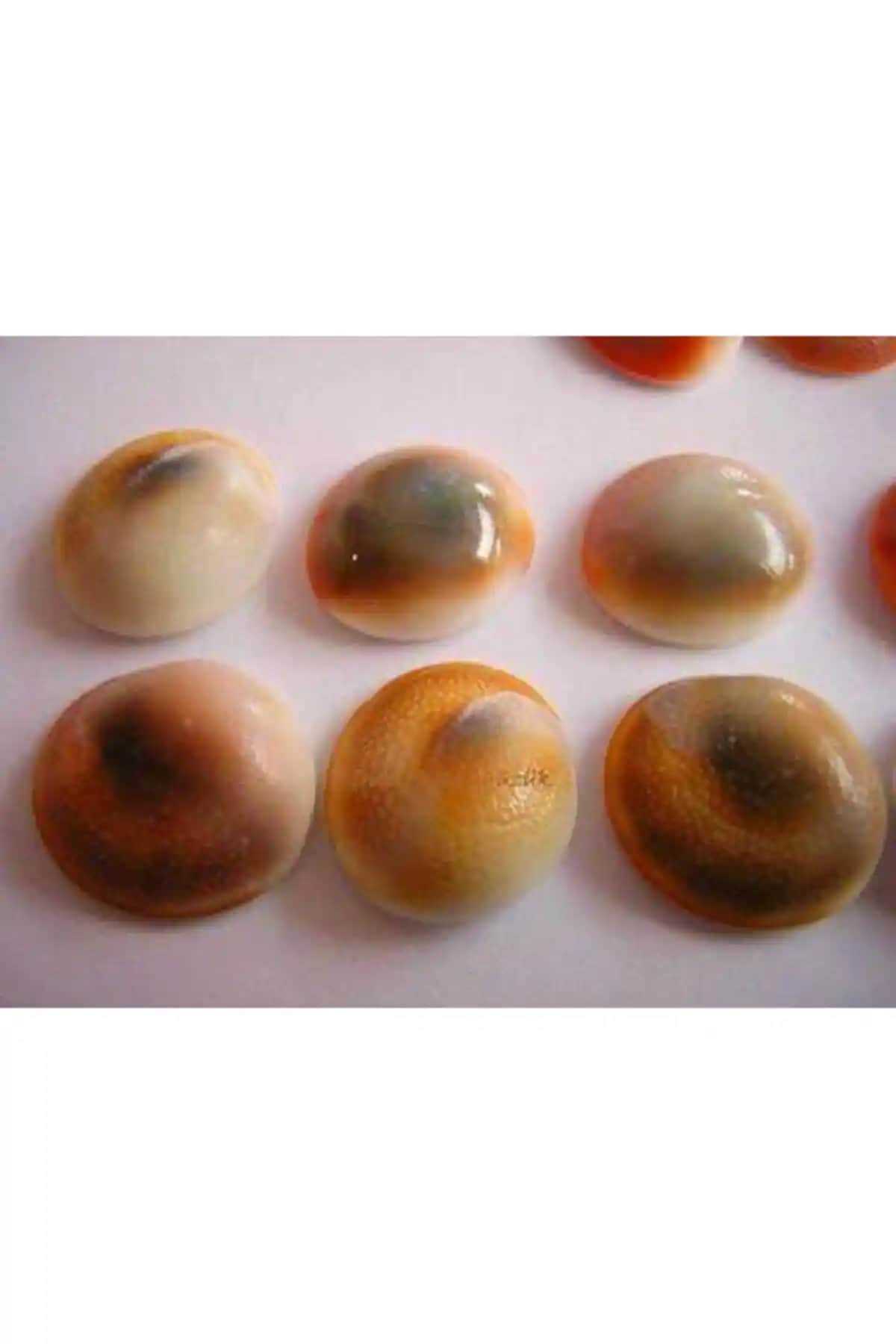 İslam Yayın Yılancık Taşı Seti 7 Parça Doğal ve Estetik Taşlar Takı ve Dekorasyon İçin