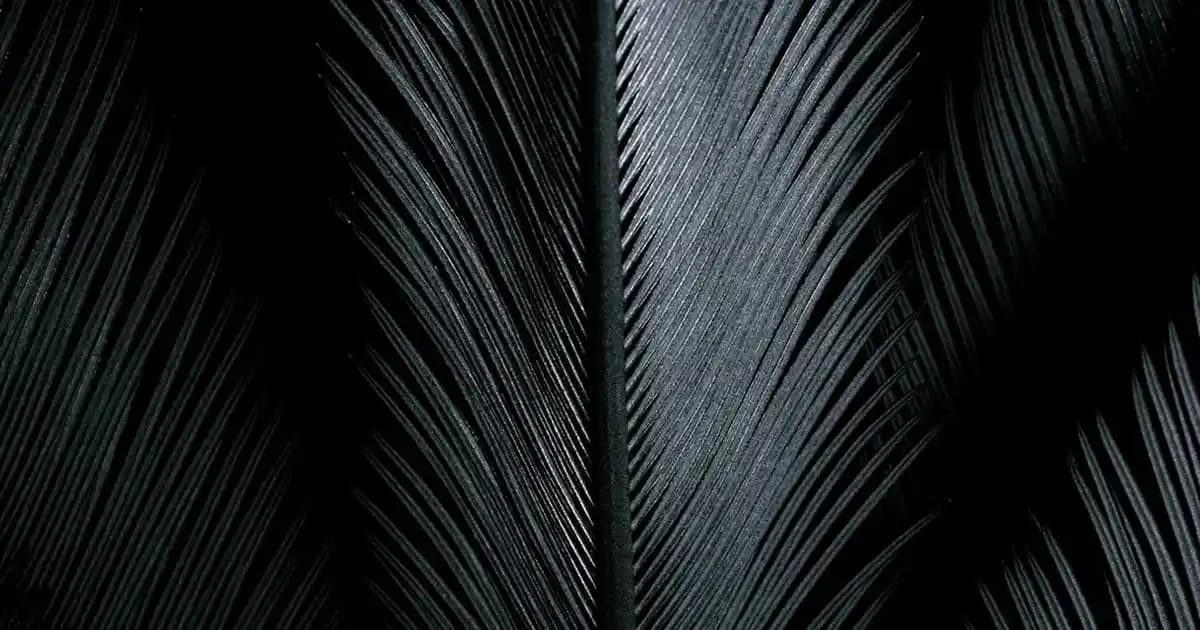 Düz Saçlarda Kıvırcık Saç Ürünlerinin Etkisi ve Dalga Oluşumu Üzerine İnceleme