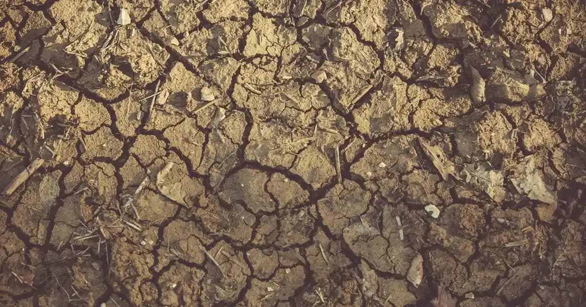 Dyson Airwrap Saç Şekillendirici İncelemesi: Özellikler, Kullanıcı Deneyimleri ve Alternatifler