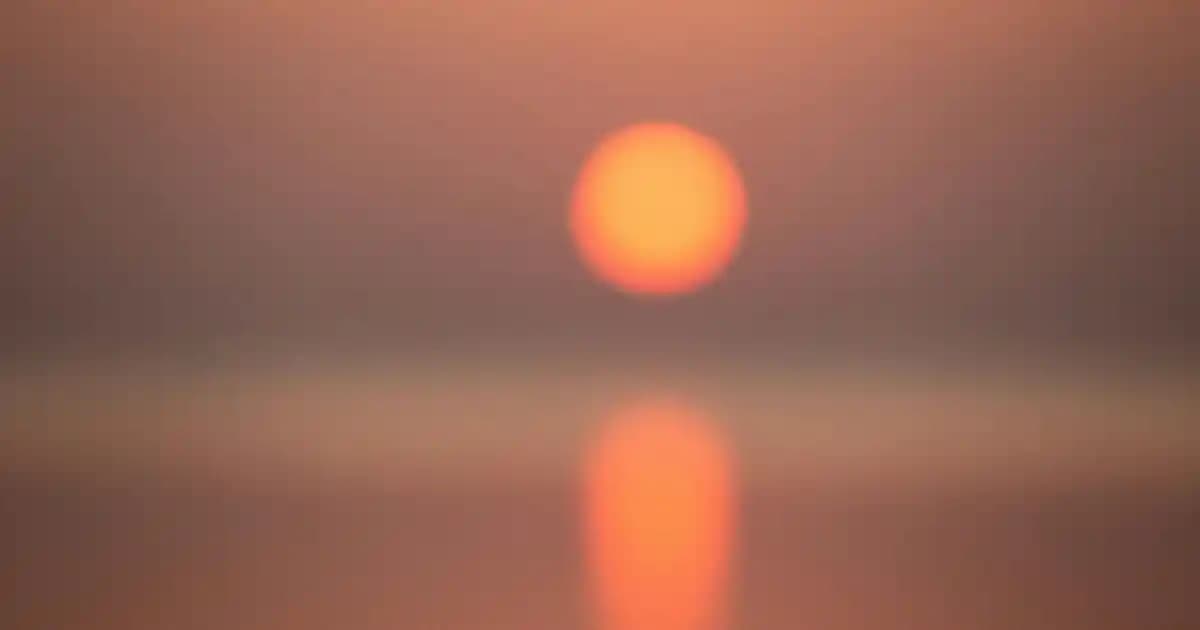 Estée Lauder'ın Kozmetik Ürünleri ve Politik-Etik Tartışmaların Tüketici Tercihlerine Etkisi