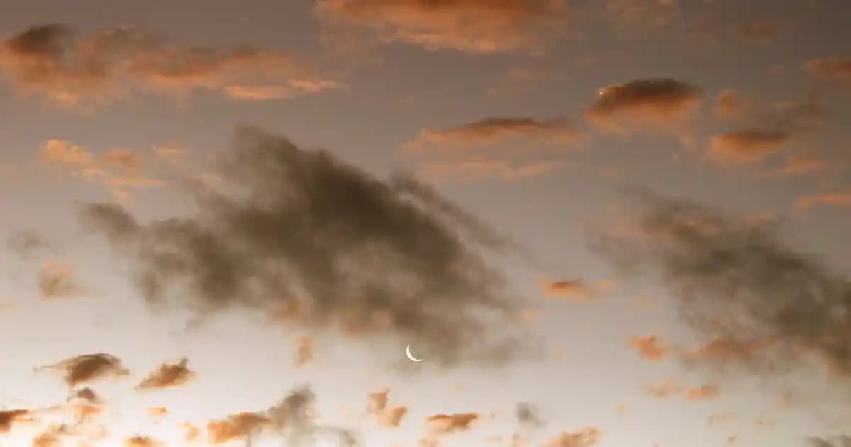 Koleksiyoncular İçin Estetik ve Özgün Parfüm Şişesi Tasarımları ve Markaları