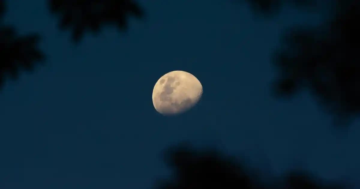 Uygun Fiyatlı ve Kaliteli Simli Göz Farı Seçenekleri ve Uygulama İpuçları